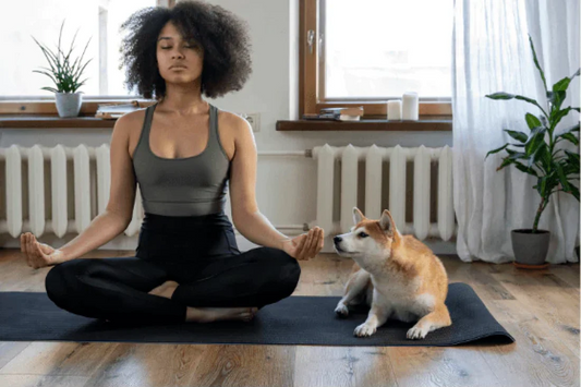 Move your mind with CBD (February 2021) – Dr. Sebi's Cell Food