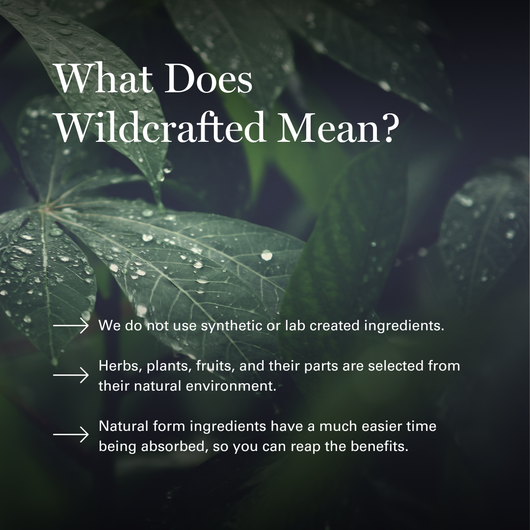 Full Spectrum - Hemp & Chamomile Tea