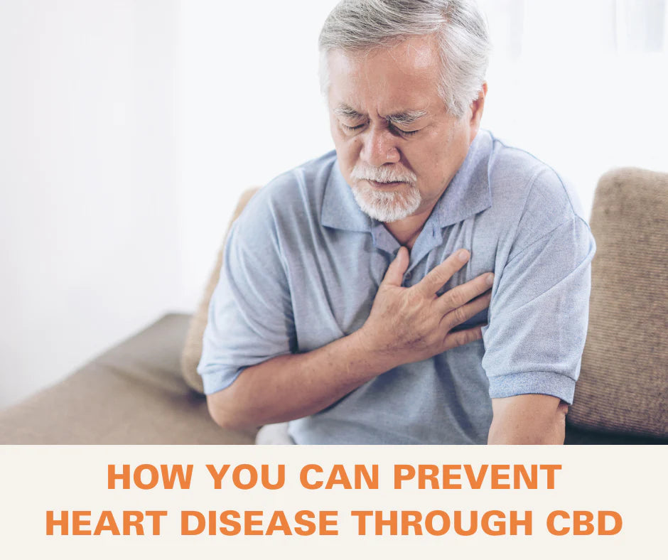 How You Can Prevent Heart Disease Through CBD