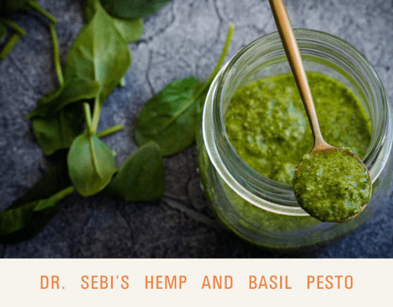 Hemp and Basil Pesto - Dr. Sebi's Cell Food
